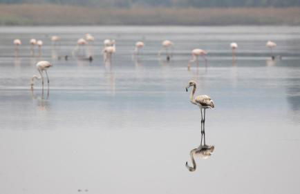 Casa Iroko - a modern villa, with private pool, in a quiet area - Foto 35