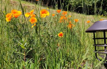 Best Beach 2025 "Little Haven" & The Hidden Gem - Foto 25