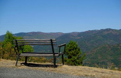 Mas Mialou - Foto 37