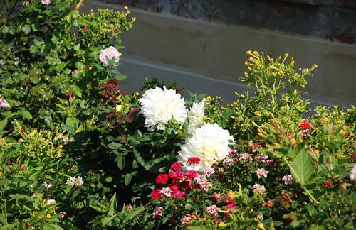 Agriturismo Frangivento - Foto 50