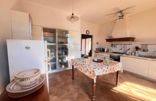 Villa Biba tra Lucca e Pisa - Foto 22