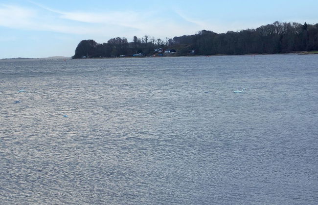 "Majbritt" - 50m from the sea - Foto 10