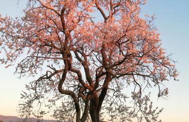 Agriturismo Susanna e Atria - Foto 51