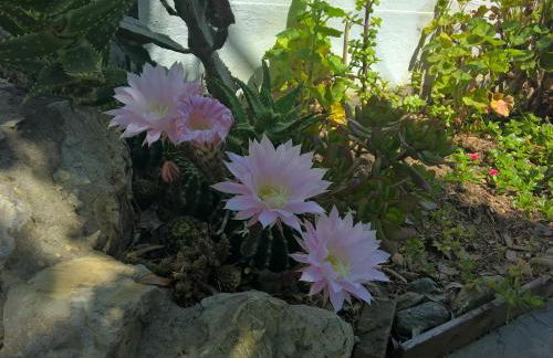 Elba Residence - Foto 25