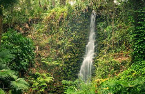 The Nature House a Secluded Canal front Cabin - Foto 33