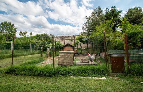 all'ombra del Bagolaro - Photo 15