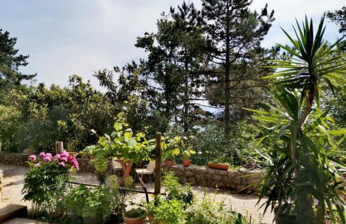 Apartments Sandra - Foto 24