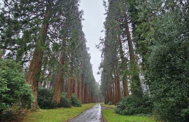 Lakewood Courtyard Northumberland - Foto 28