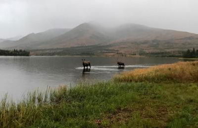 Northern Lights from Hot Tub, Denali National Park - Photo 29