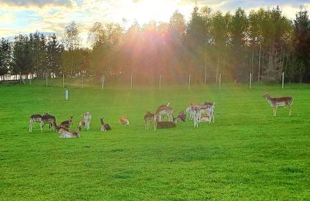 Przystań Nad Zatoką - Gospodarstwo Agroturystyczne - Foto 75