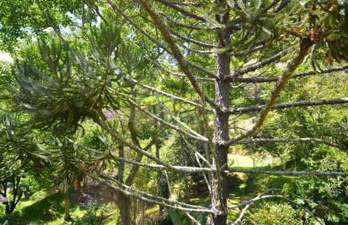 Vila da Sol Itaipava casas e estúdios - Foto 61