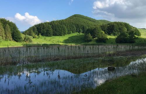 Casa Blanche - Photo 41