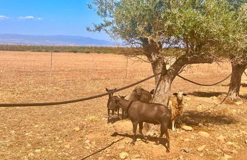 Villetta Sisini - Key to Villas - Foto 29