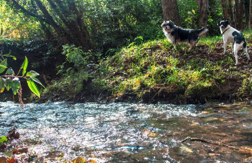 agroturismo Araize - Foto 50