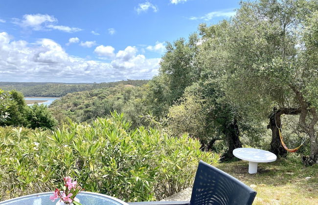 Monte do Zambujeiro - Foto 48