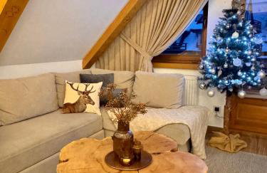 Apart-Center Zakopianskie Tarasy Spa - Photo 6