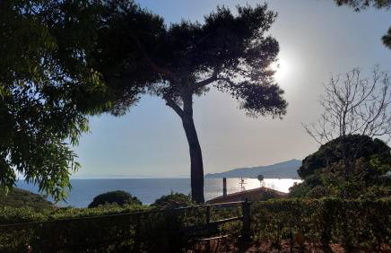 Villa Moira - Foto 20