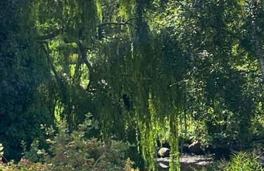 Wohnung auf dem Lande - Foto 25