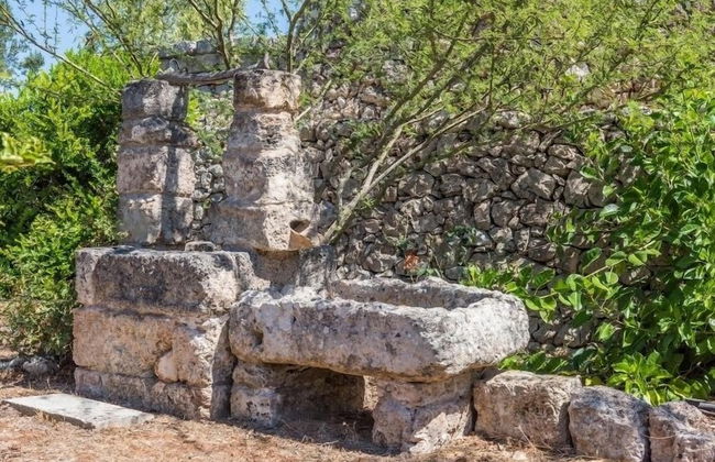 Tia Maria Country Inn - Foto 48