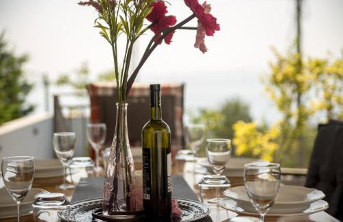 Villa LETA - Luxury villa in a green oasis with heated swimming pool, fitness center and summer kitchen - Kvarner - Foto 71