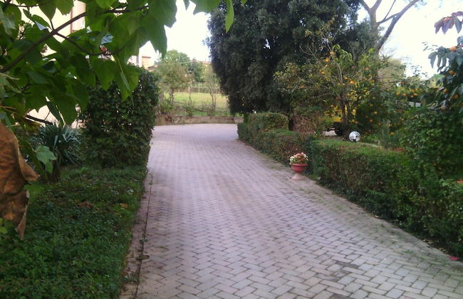 Artisti del Cavallo Tourism - Foto 22