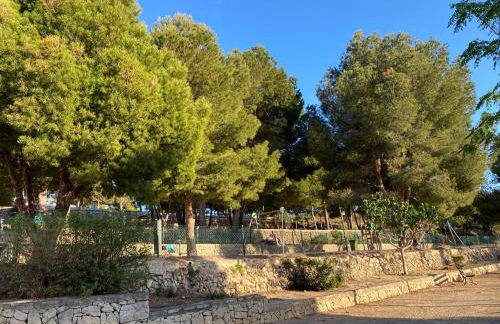 Casa del Sol - Photo 23