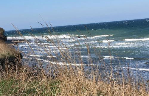 Gästehaus Schmidt - Foto 35