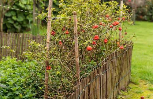Retro-modern retreat in Esposende - Foto 67
