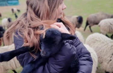 Ferienhaus Am Anger - Foto 30