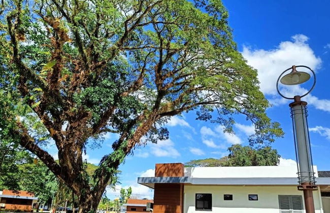 Aurora Villas and Cabin Resort - Photo 57