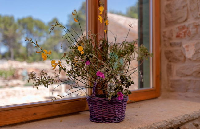 Villa Miranda Hvar - Foto 55