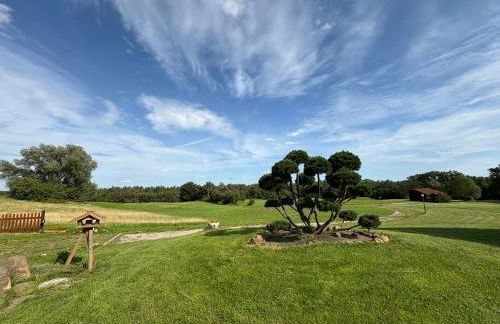 Galerie-Studio im Grünen mit Frühstück im Hotel Reindahls - Foto 14