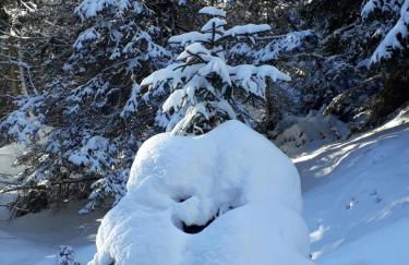 Tendershof Reschen - Foto 14