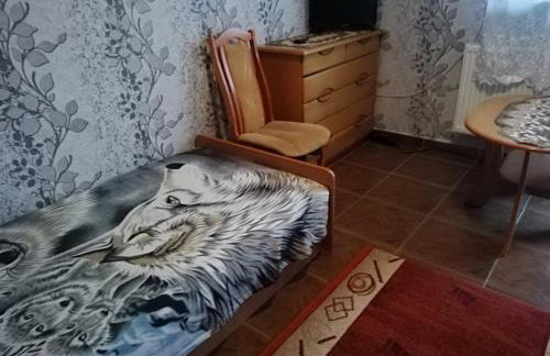 Agroturystyka Pod Bocianim Gniazdem - Foto 18