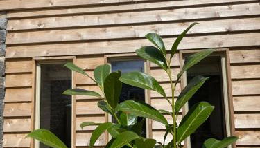 The Hideaway & Sauna at Ring O'Bells - Foto 4, Garden view