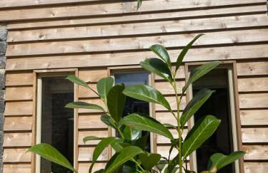 The Hideaway & Sauna at Ring O'Bells - Photo 4