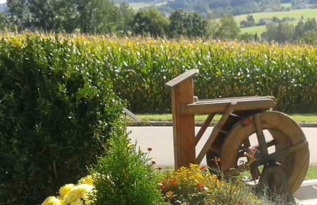 Holiday Apartment Tulpe Schuniglhof - Foto 20