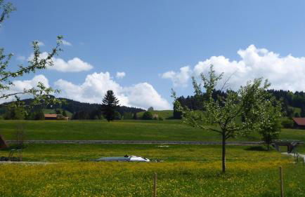 Ferienwohnungen Rössle - Foto 39