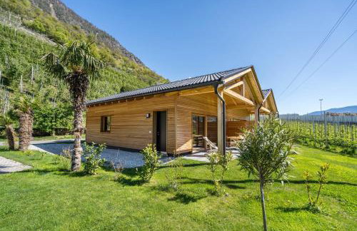 Pixnerhof Chalet Bonita - Foto 21