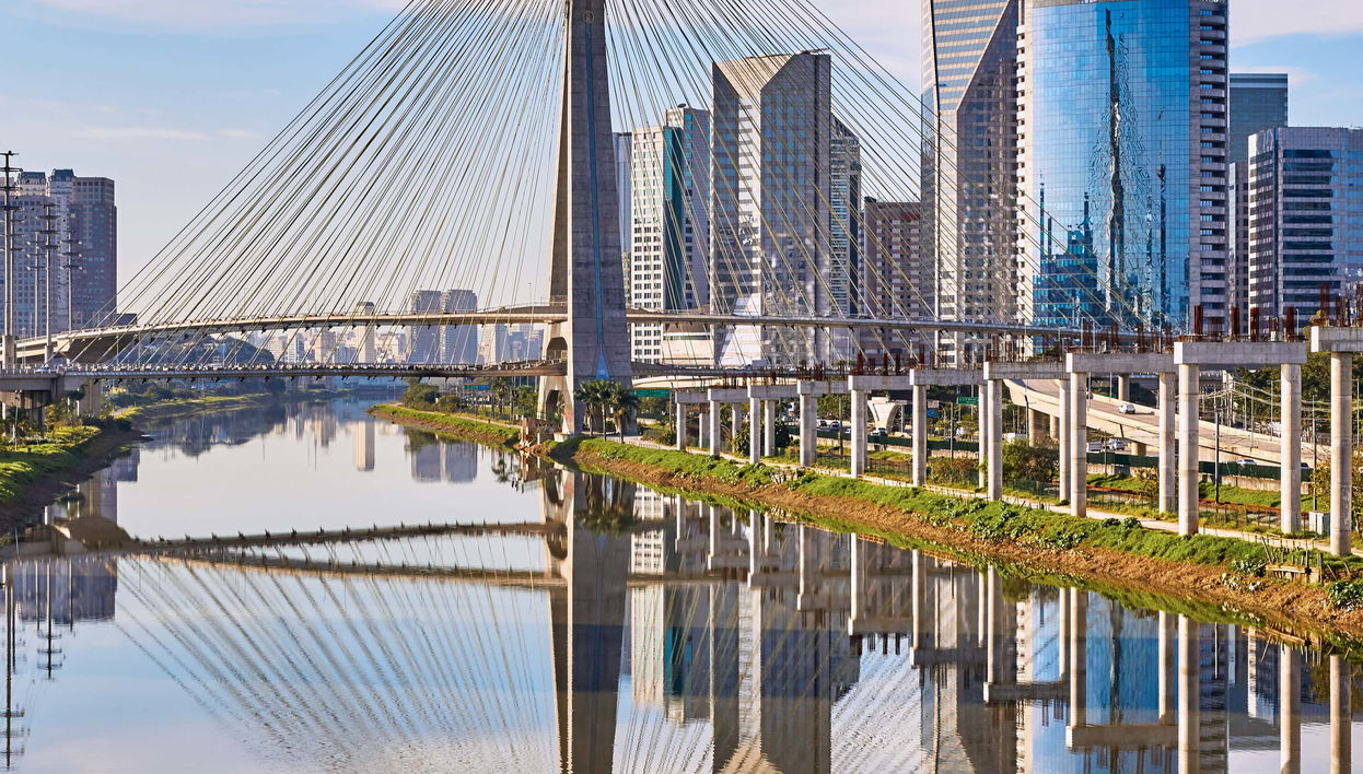 Excursión privada a São Paulo para cruceros