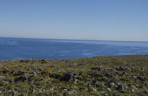 Aspasia's House - Foto 64