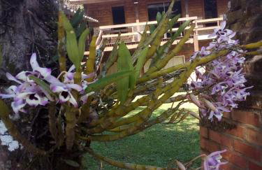 Alpes dos anjos Canela rs chalé luxo Wi-Fi SPLIT COZINHA perto do centro - Foto 37