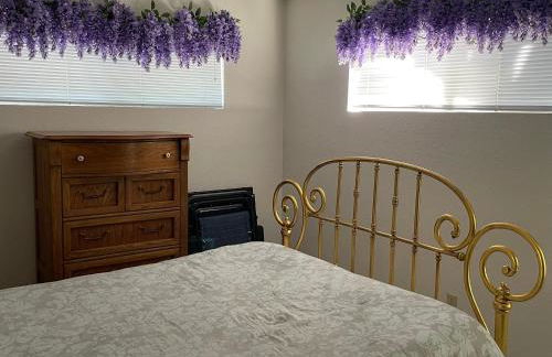 STAIRS OPTIONAL! Lakefront! Pool! On Water! Convenient Fishing! - Photo 11