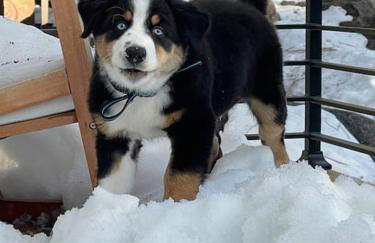 The Scandia “A-Frame Chalet” Fireplace & Hot tub - Foto 40