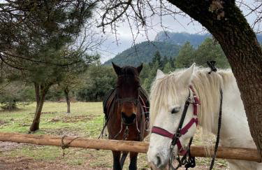 The Lake house Feneos - Foto 55