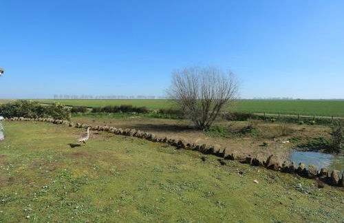 The Sir Peter Scott Lighthouse - Foto 64