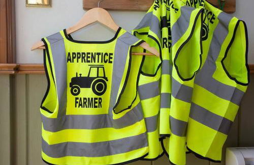 Shepherds Huts Tansy & Ethel in rural Sussex - Foto 32