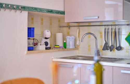 La Zinevrela - Foto 27