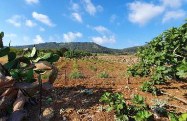 La casa sotto le stelle - Ustica - Foto 22