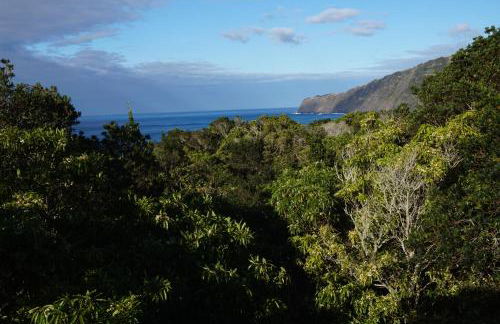 Portugal House - Foto 10